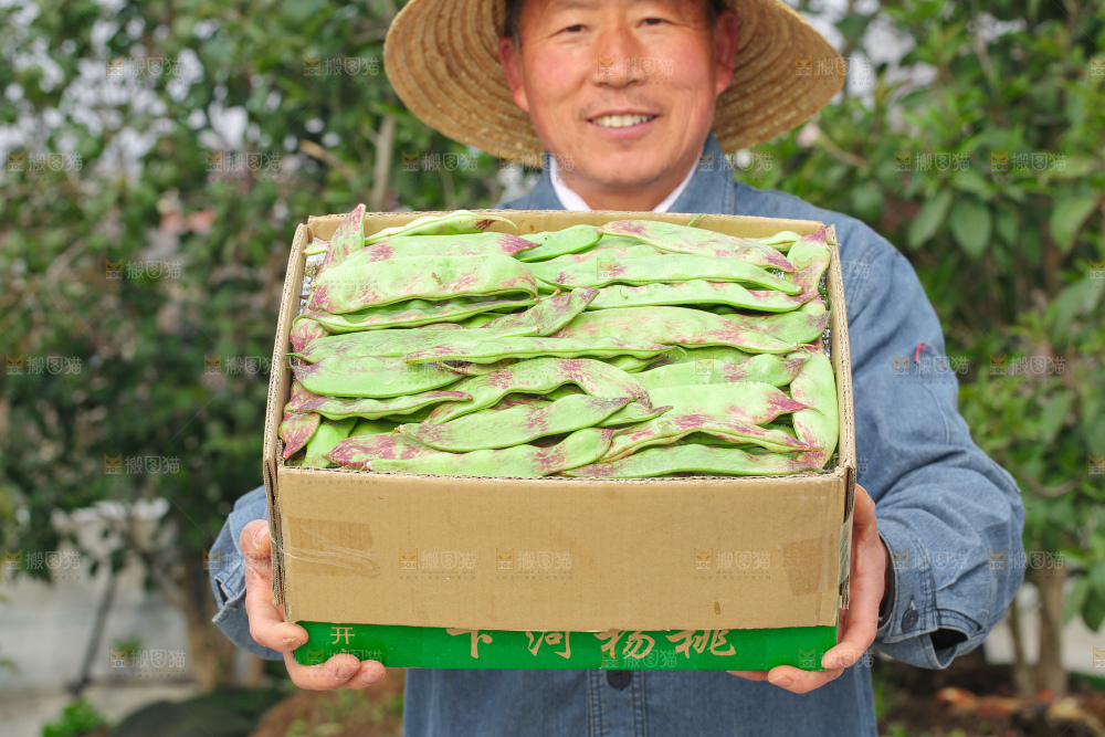 油豆角