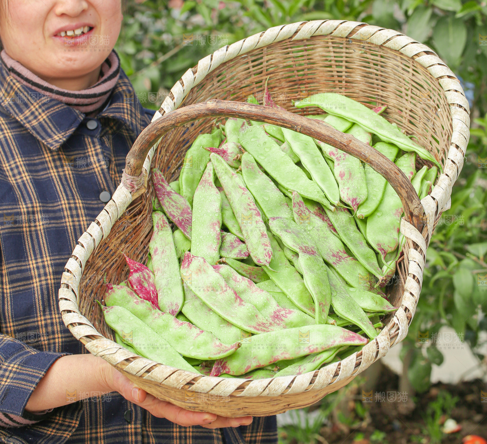 油豆角
