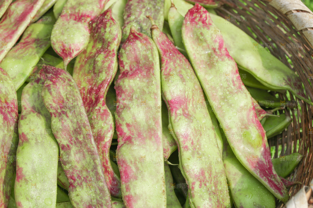 油豆角