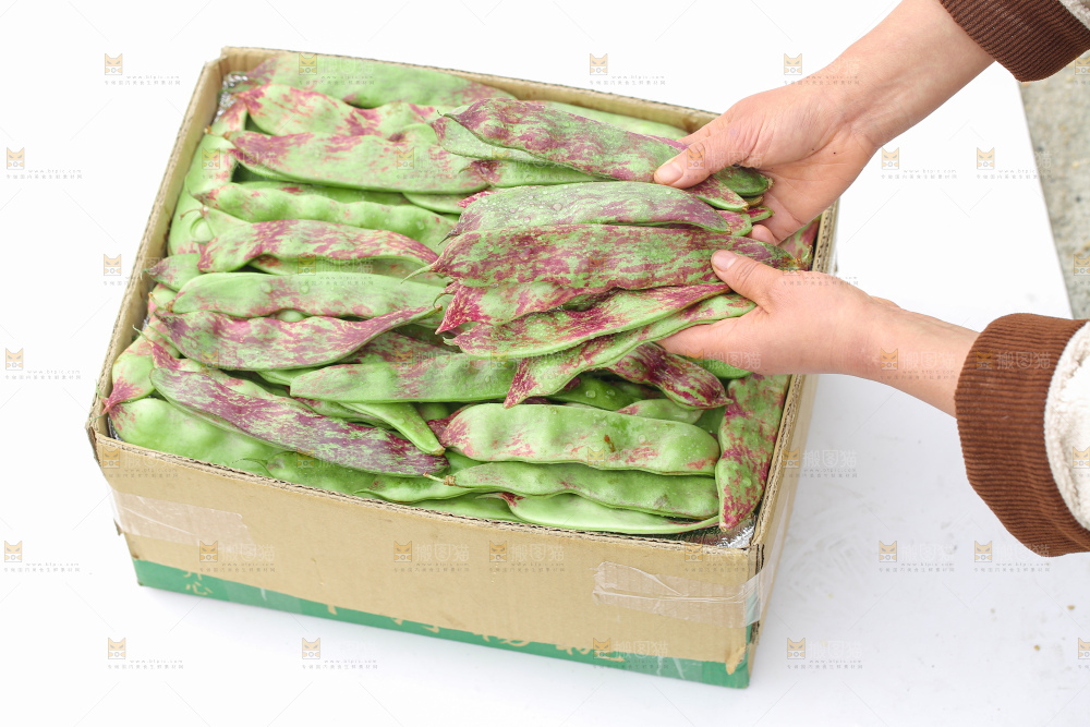 油豆角