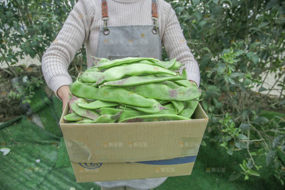 油豆角