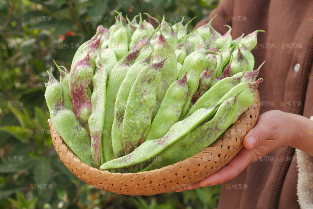油豆角