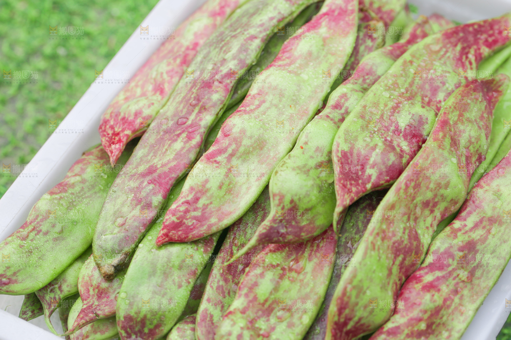 油豆角