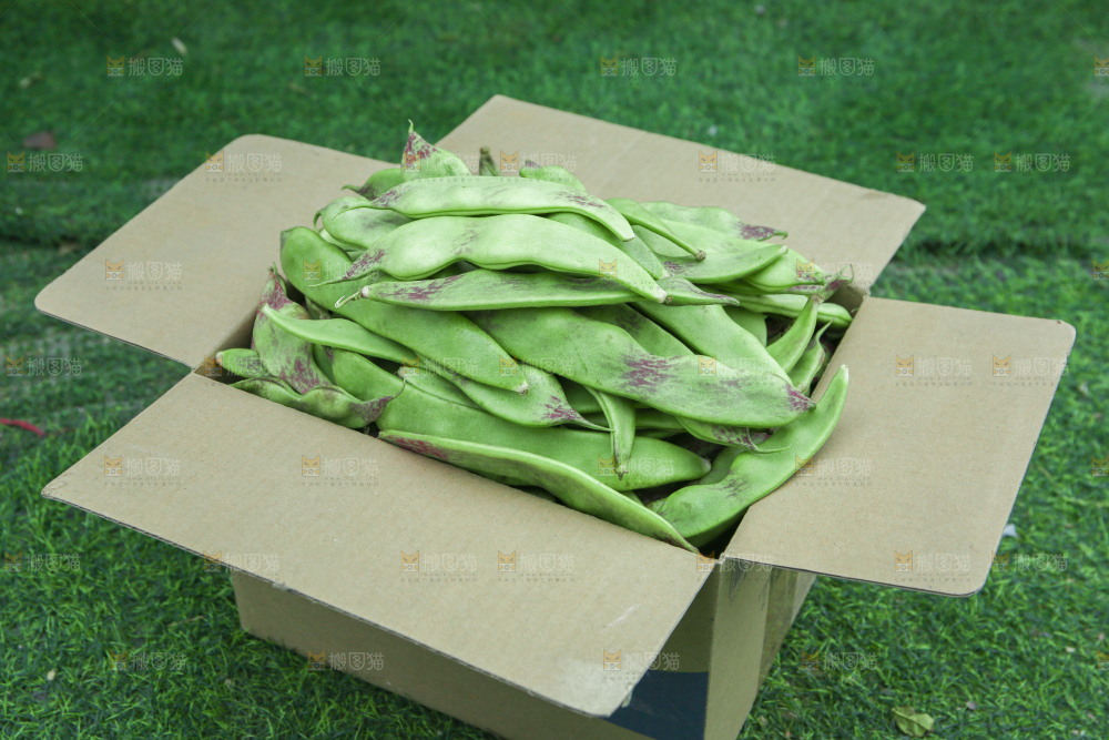 油豆角