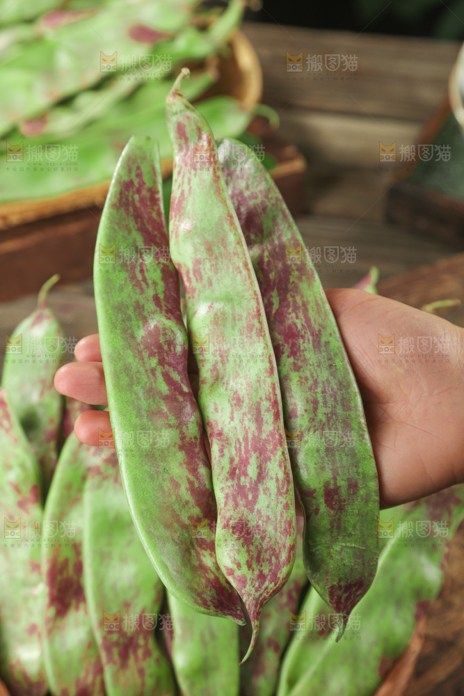 油豆角