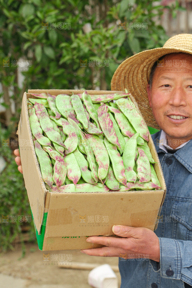 油豆角