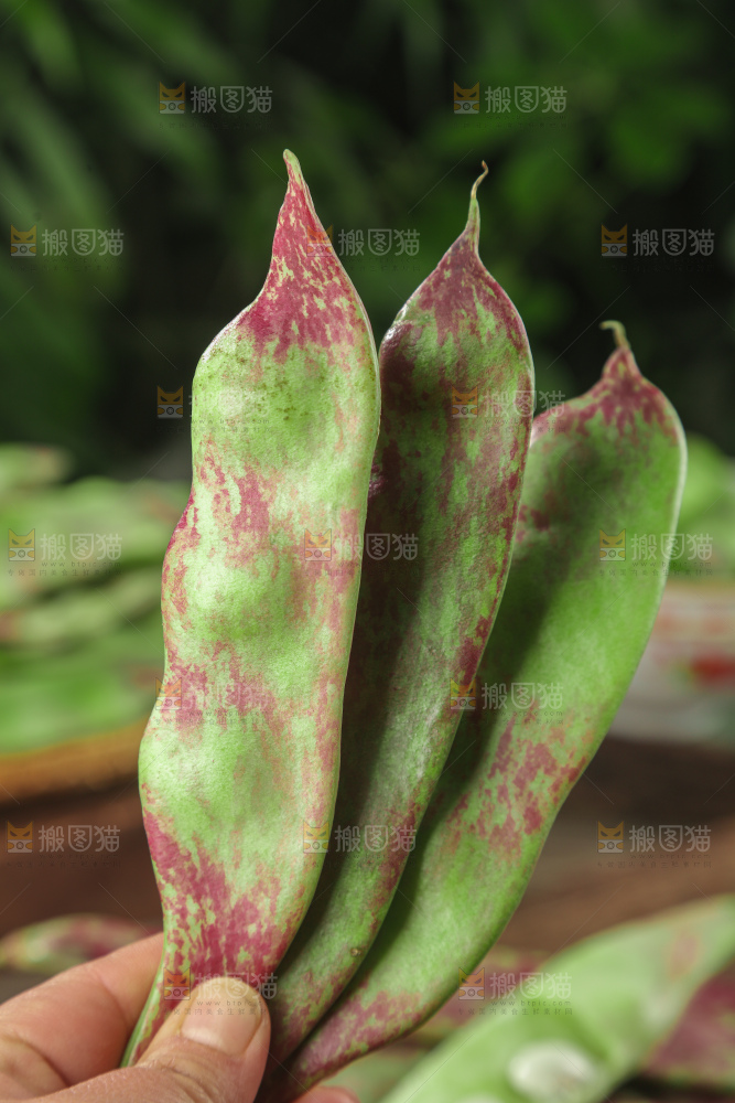 油豆角