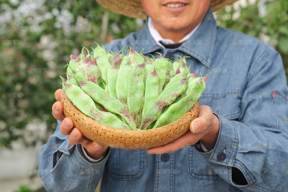 油豆角