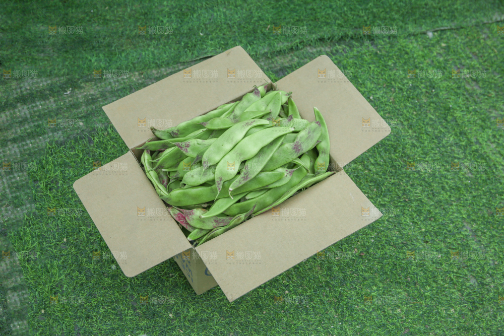 油豆角