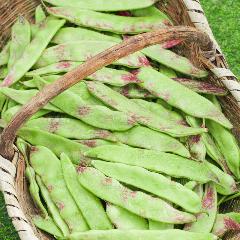 油豆角