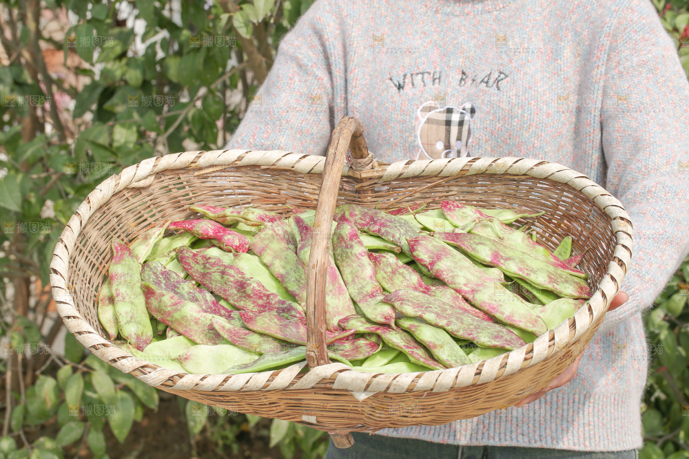 油豆角
