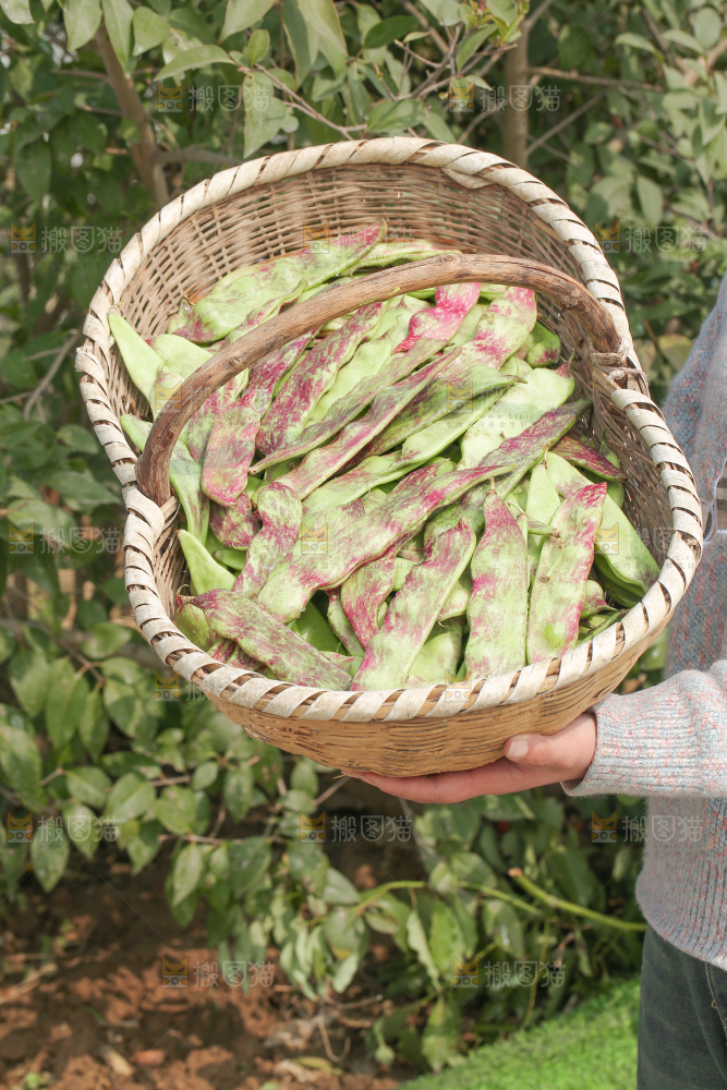 油豆角