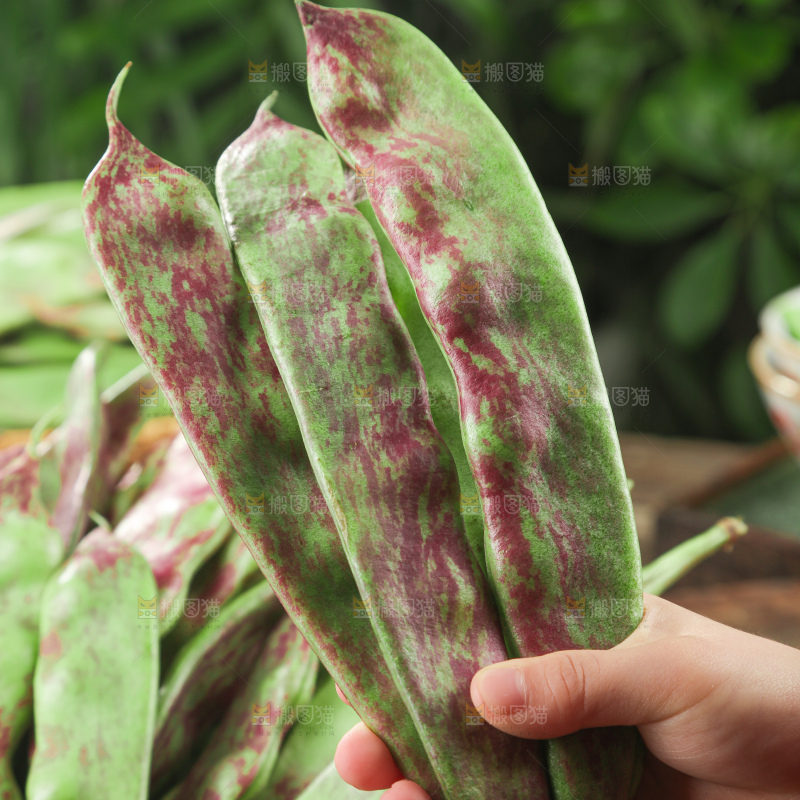 油豆角