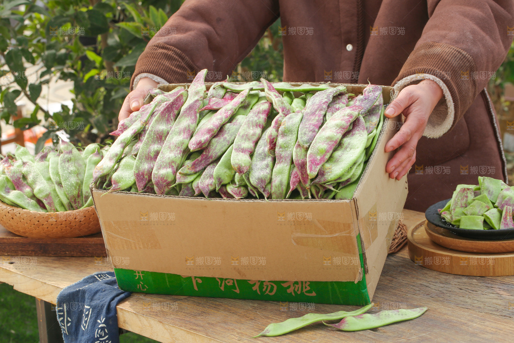 油豆角