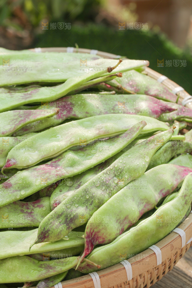 油豆角