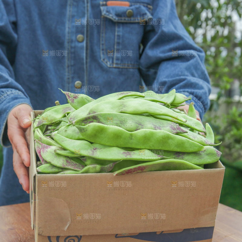 油豆角