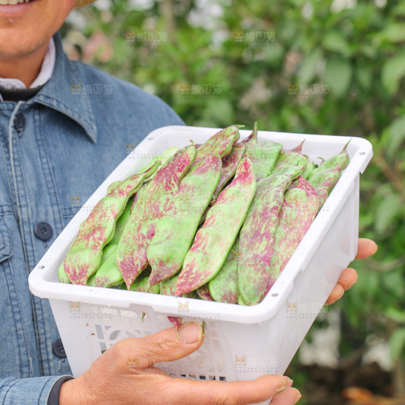 油豆角