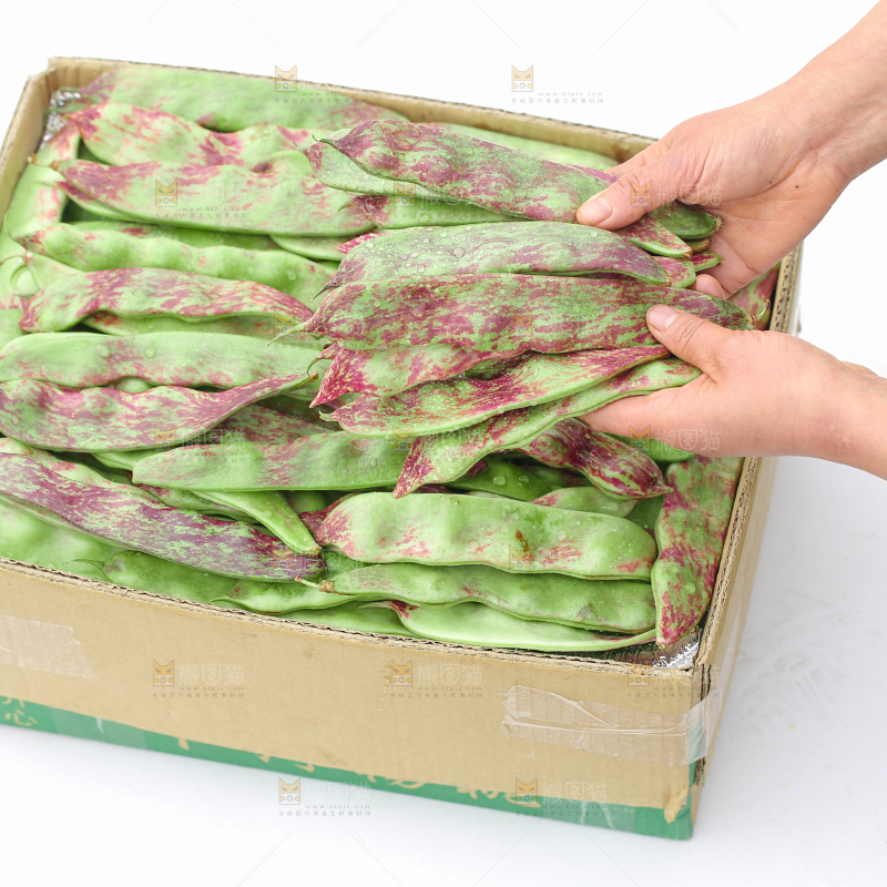 油豆角
