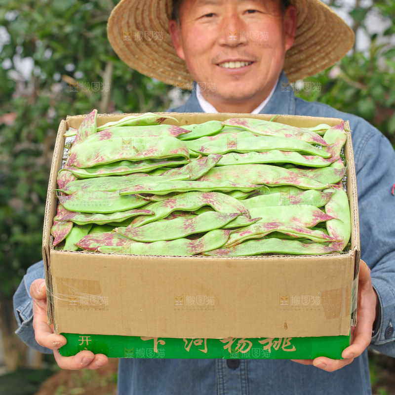油豆角