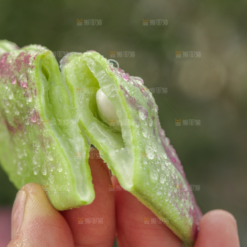 油豆角