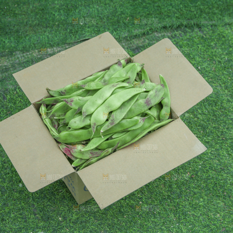油豆角