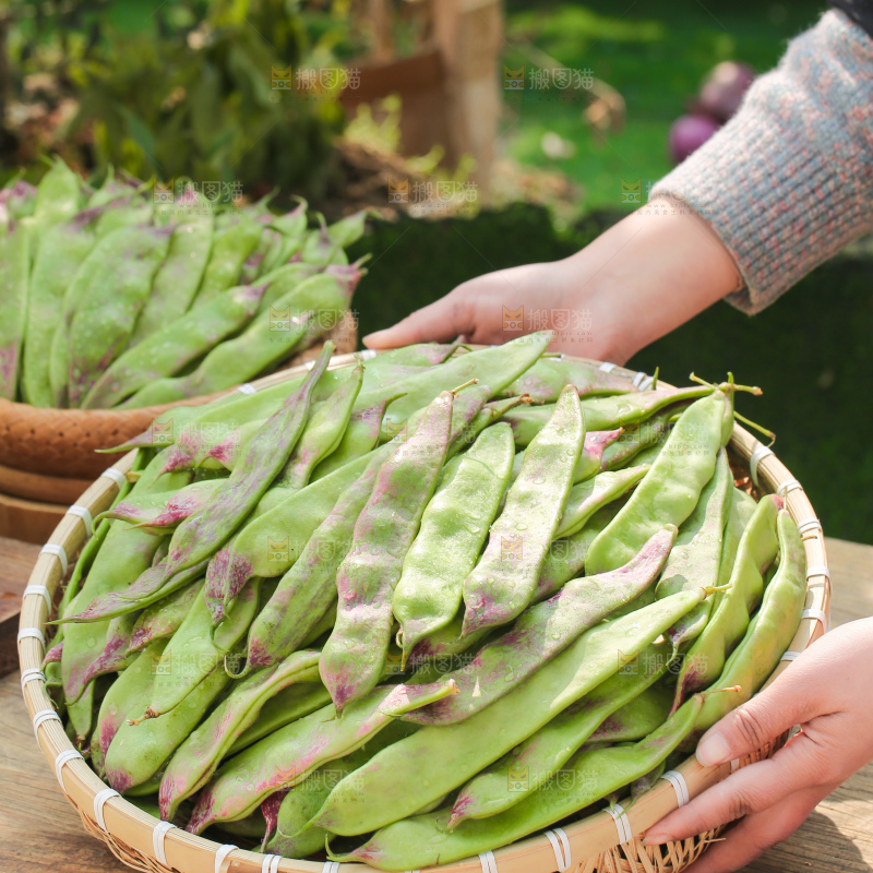 油豆角