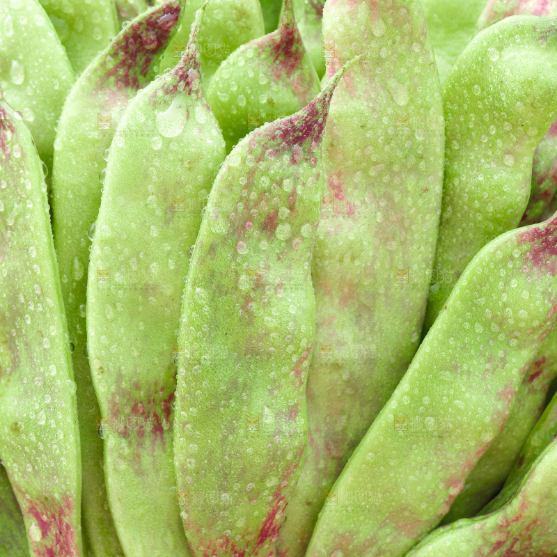 油豆角