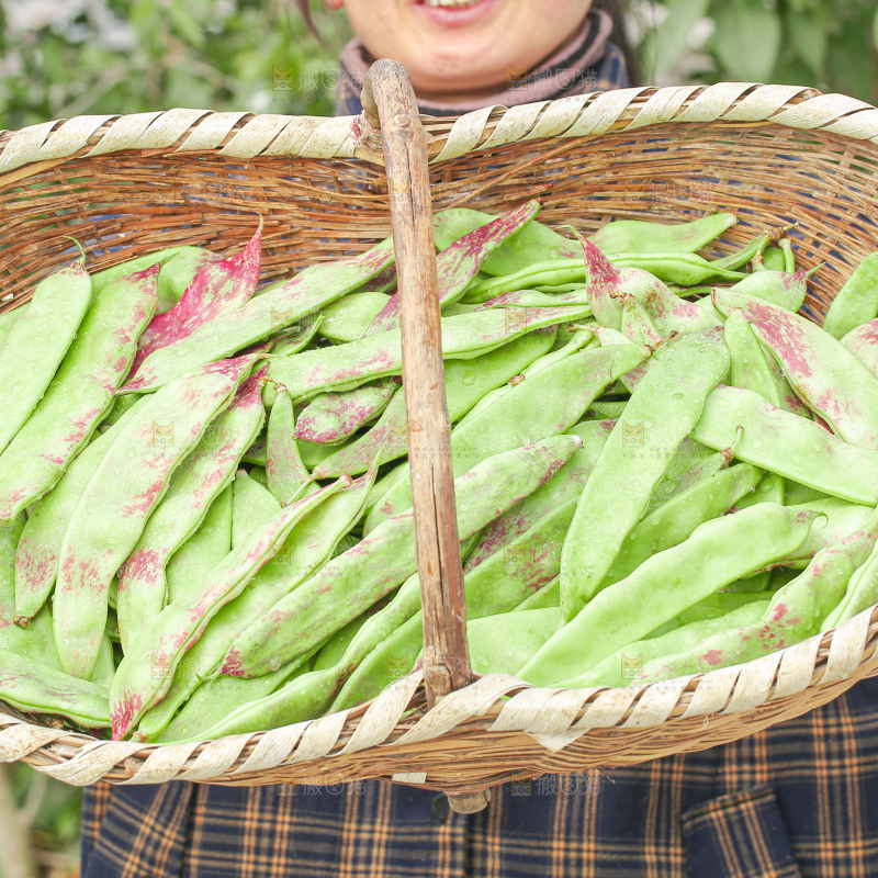 油豆角