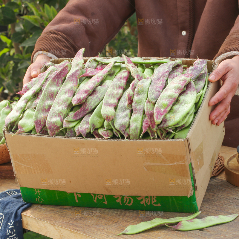 油豆角