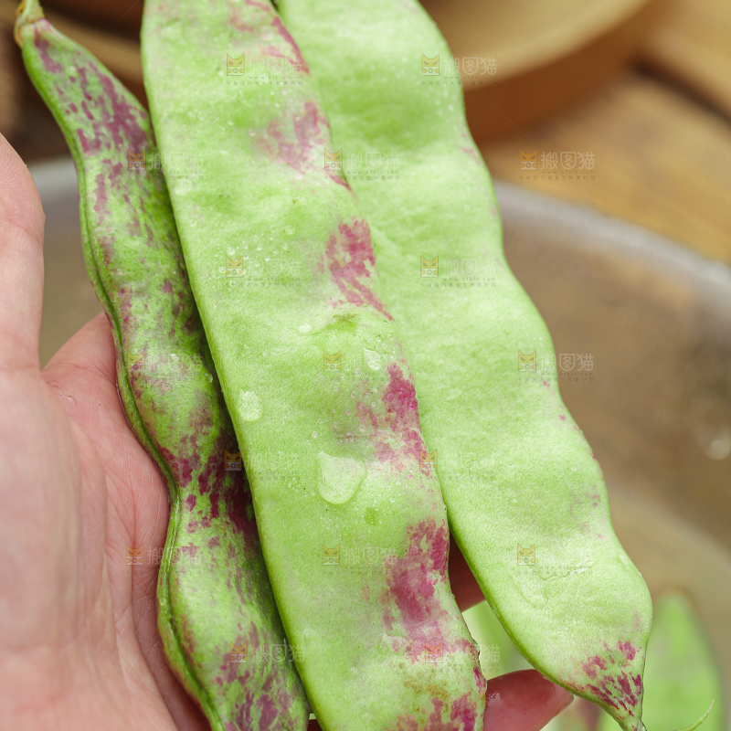 油豆角