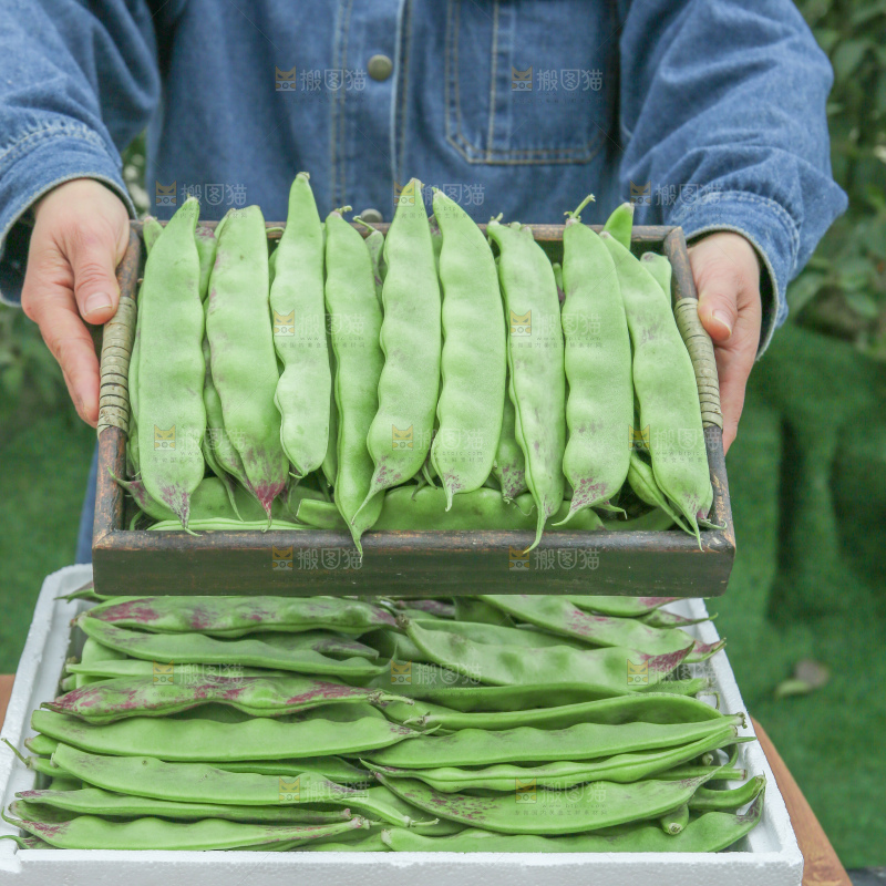 油豆角