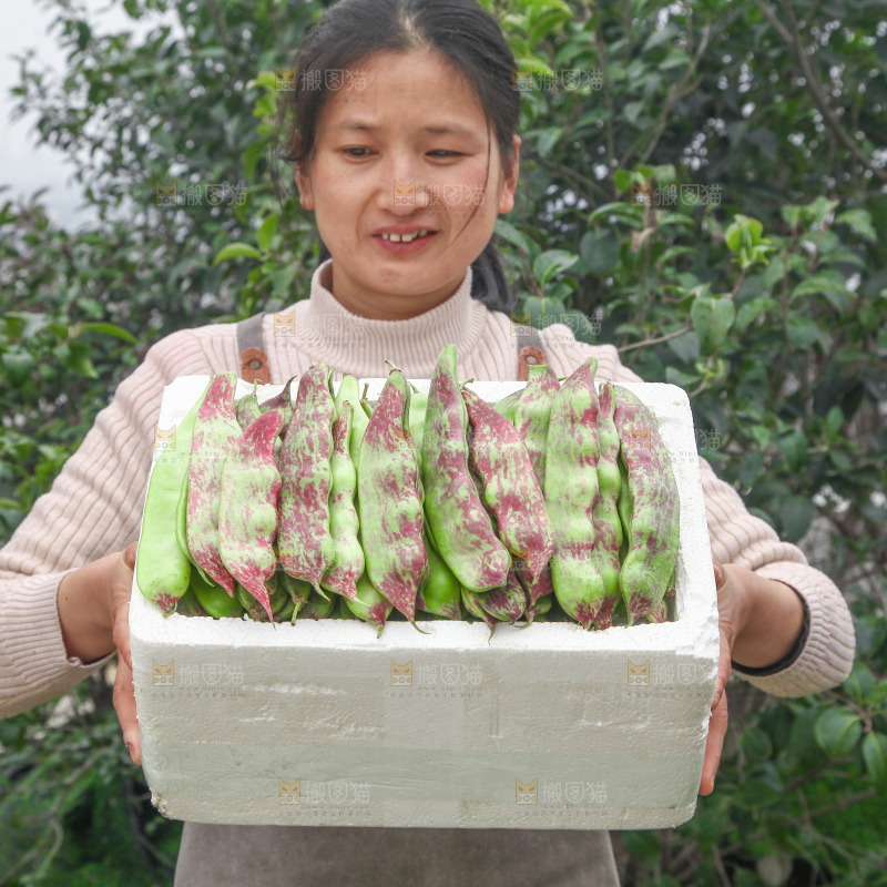 油豆角