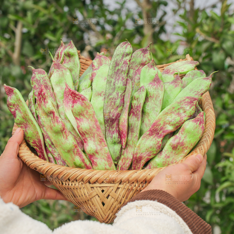 油豆角