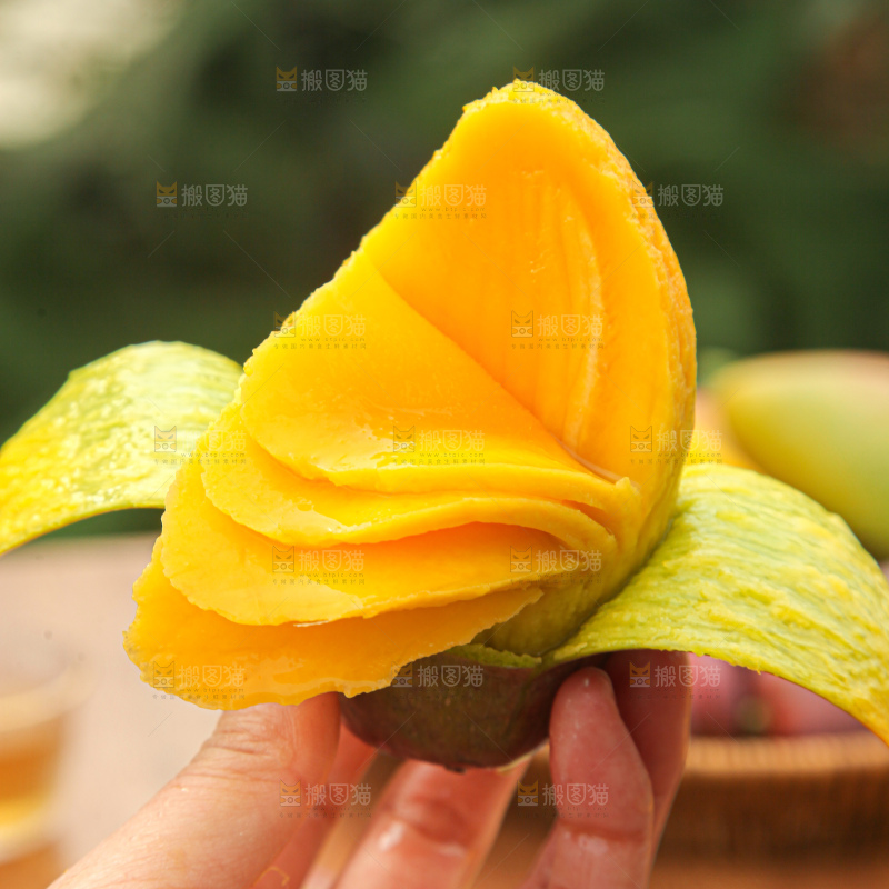 贵妃芒