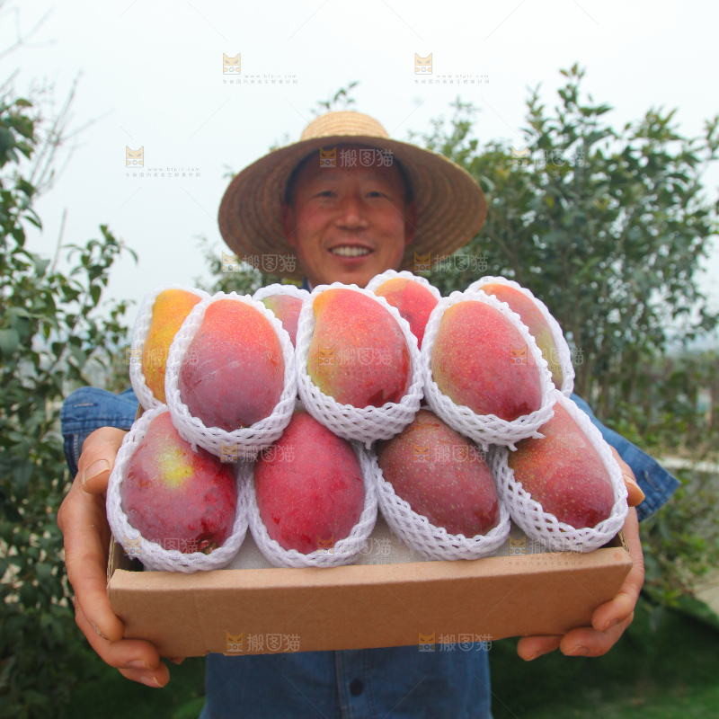 贵妃芒