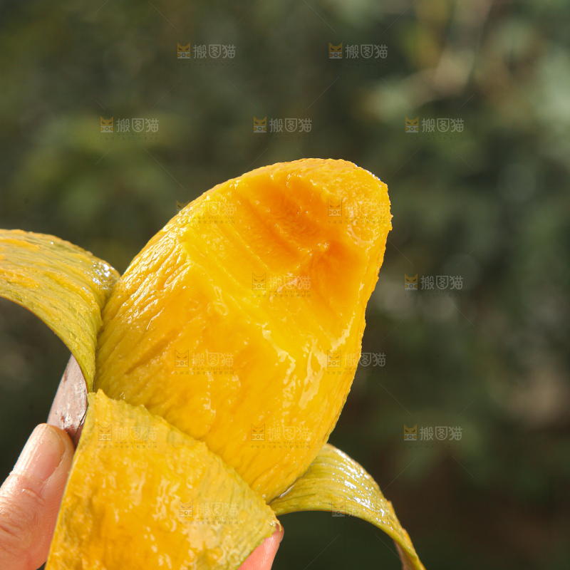 贵妃芒