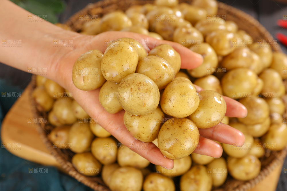 小土豆