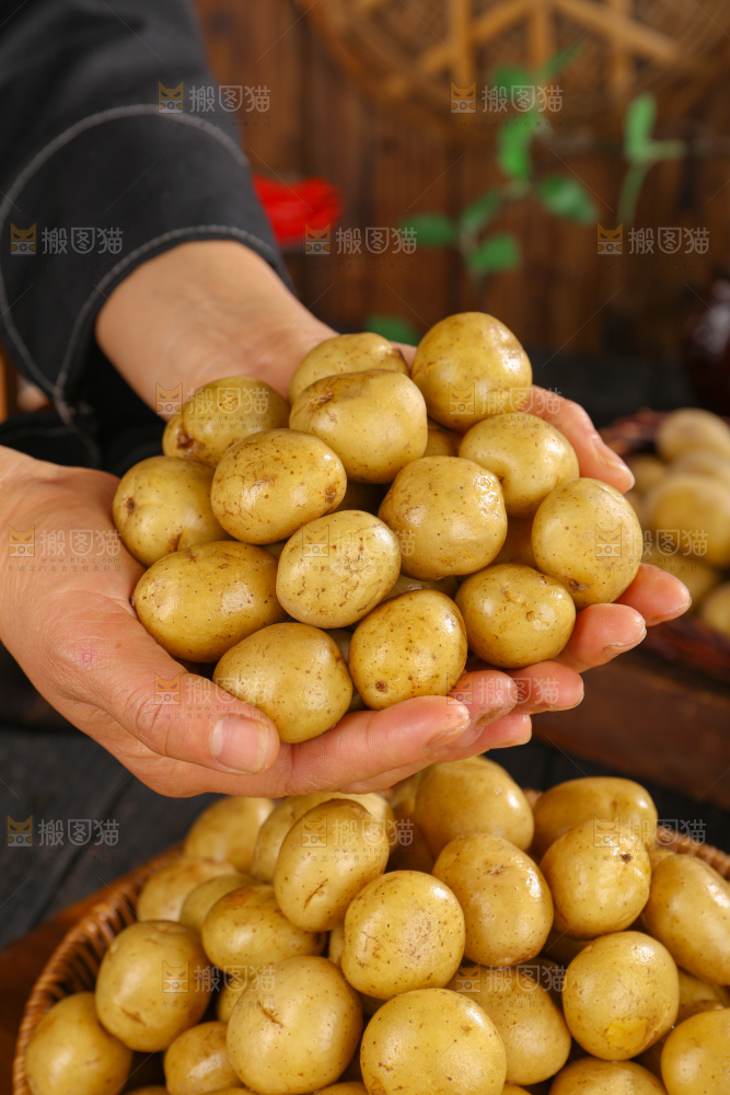 小土豆