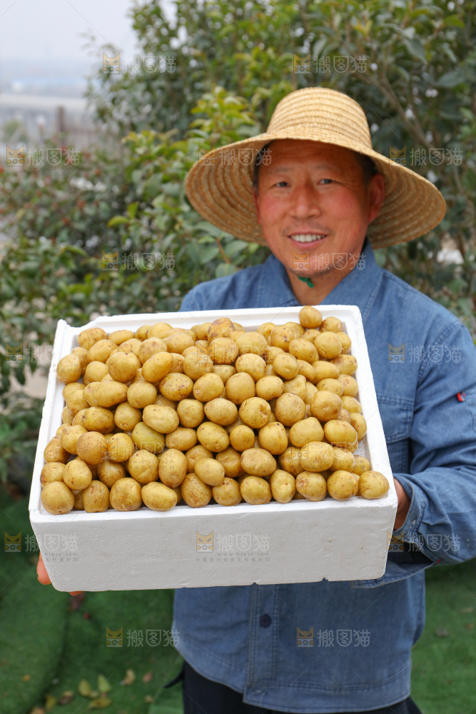 小土豆
