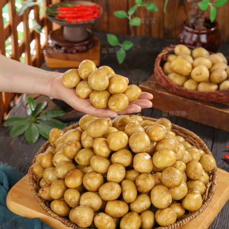 小土豆