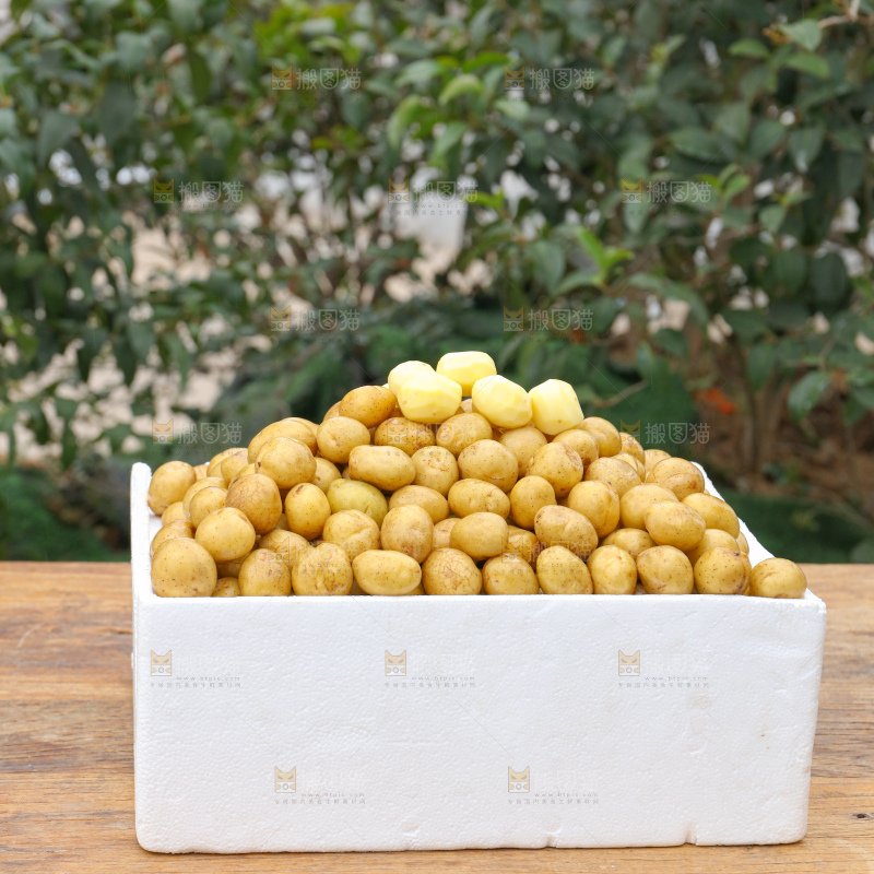 小土豆