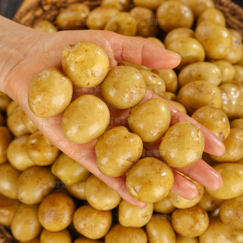 小土豆