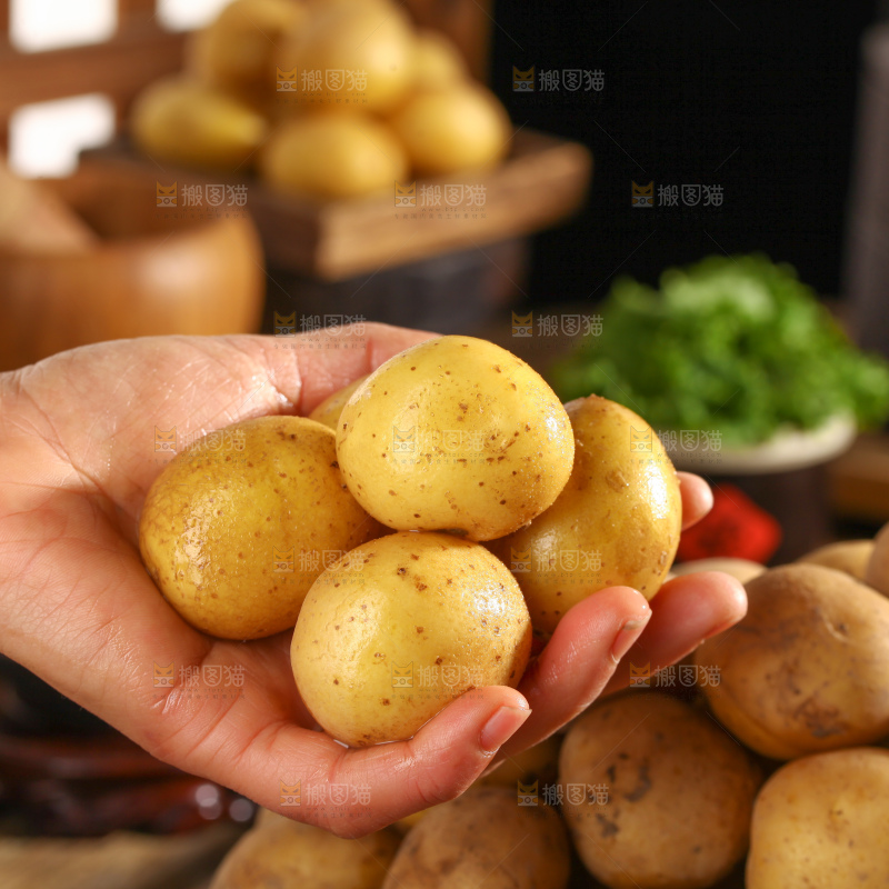 小土豆
