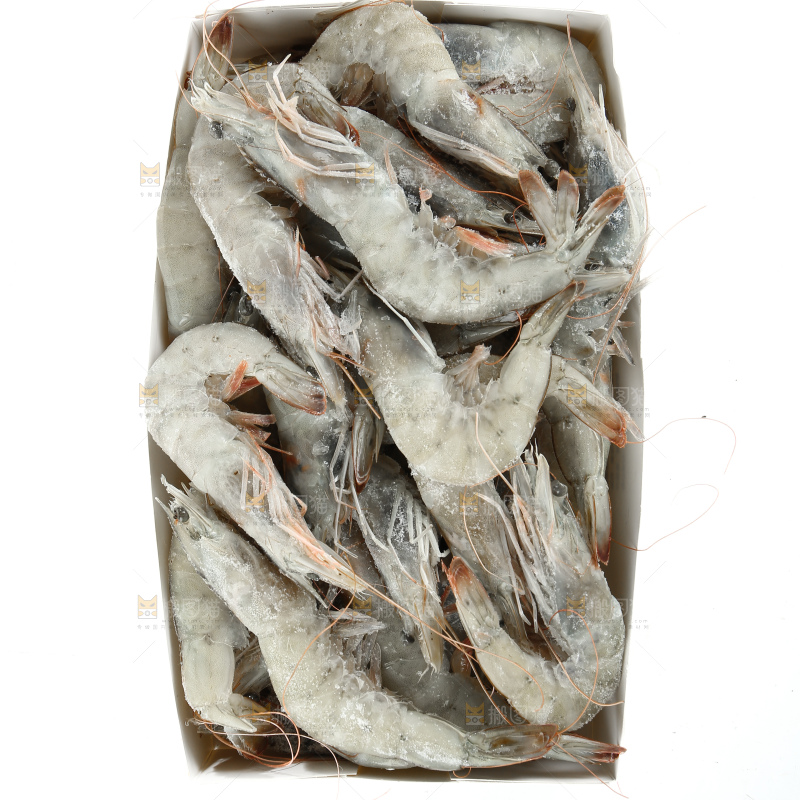 南美大虾