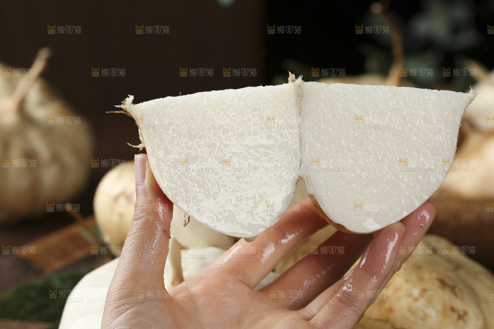凉薯