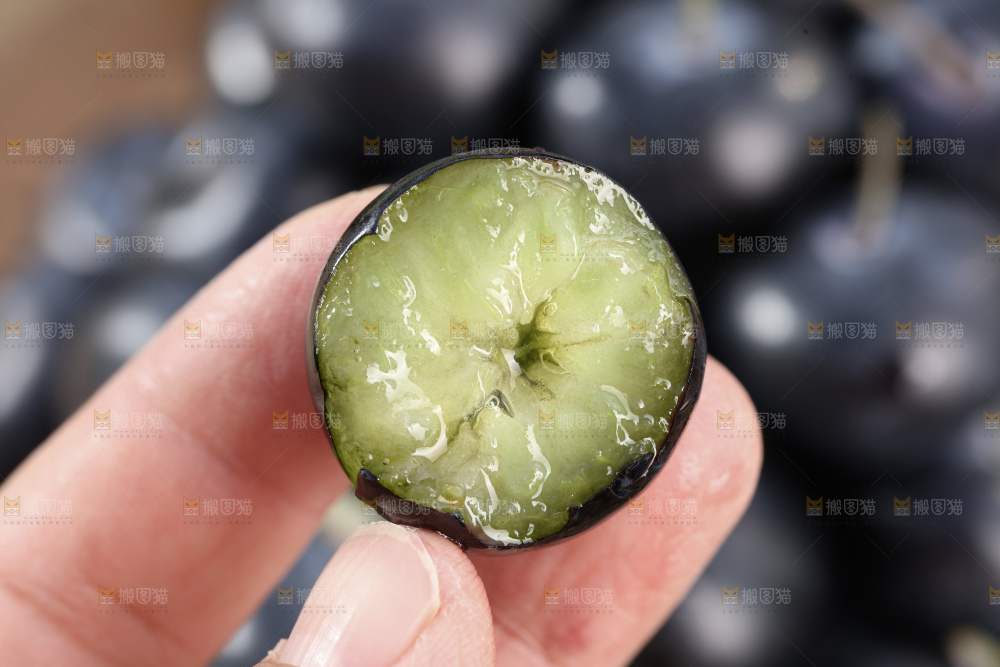 带杆蓝莓