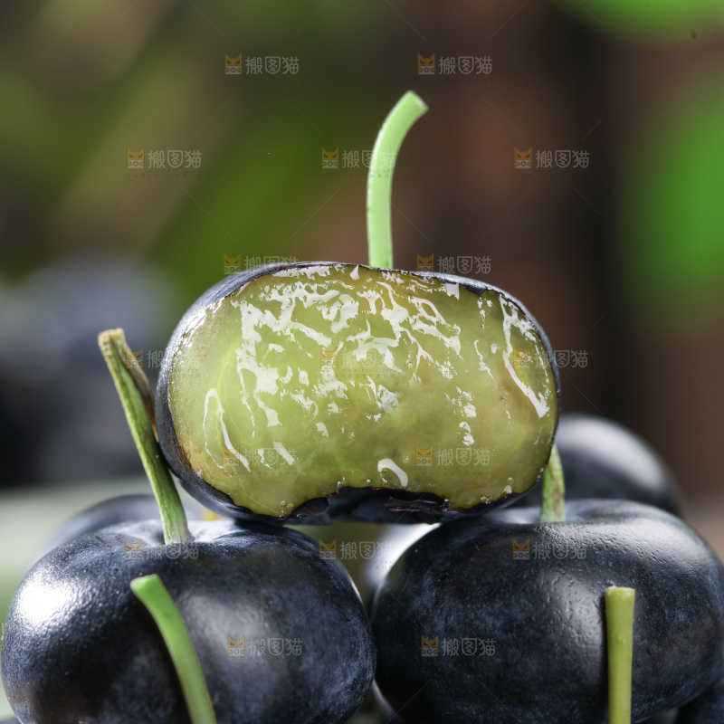 带杆蓝莓
