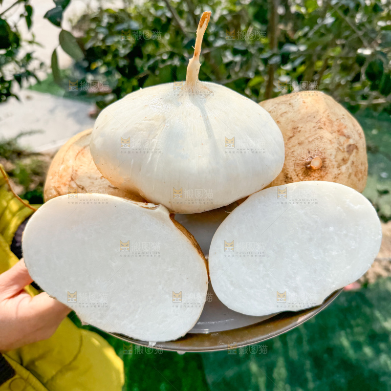 凉薯 地瓜