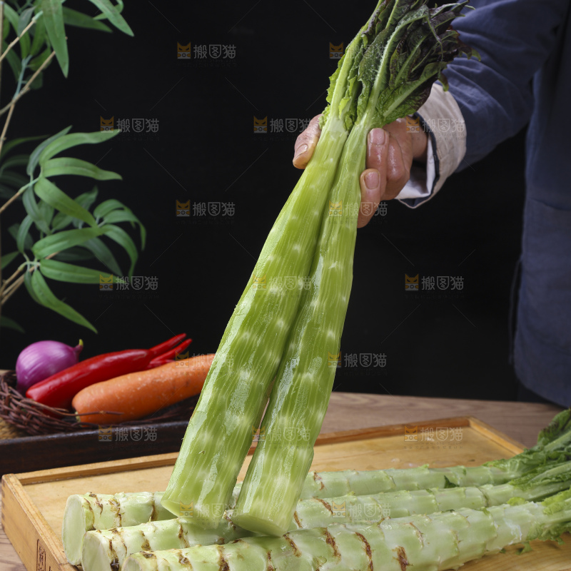 紫叶莴笋