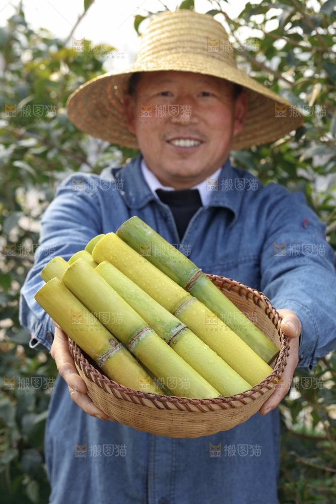 黄皮甘蔗